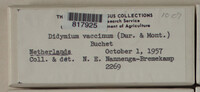 Image Associated With the Occurence